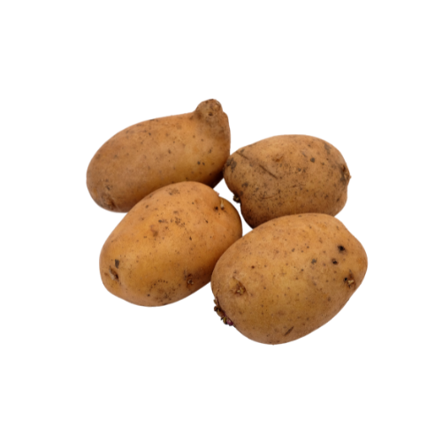 Hand-Picked Potato Vegetable