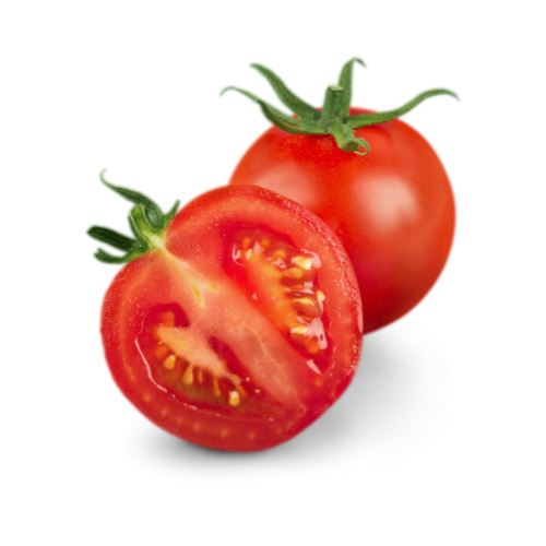 Hand-Picked Daily Tomato Vegetable