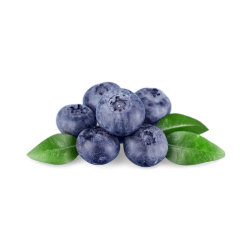 Fresh Organic Blueberry Fruit