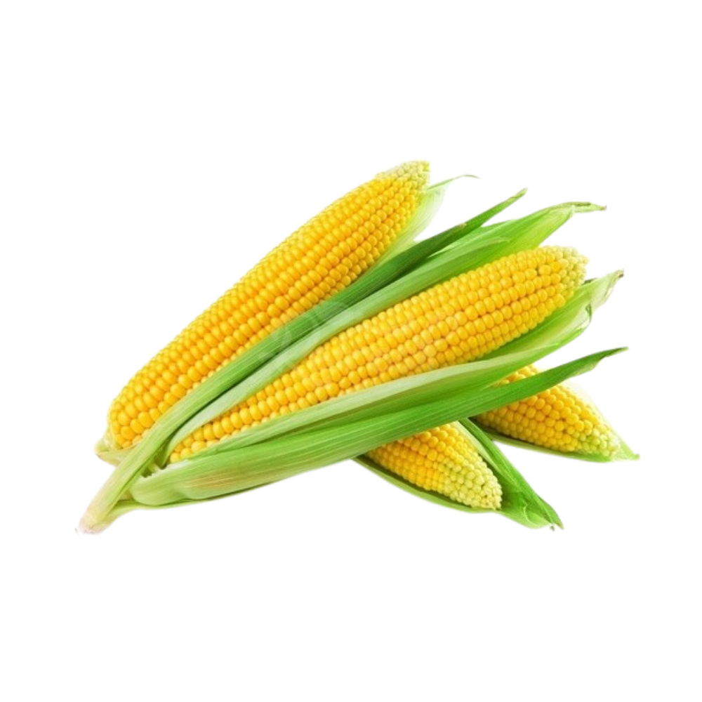 Corn Yellow 3 Ct