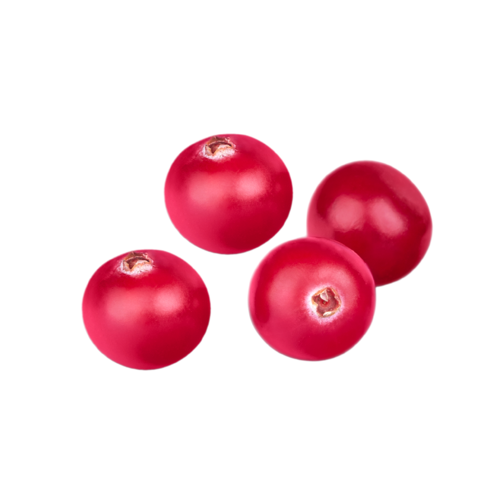 Soft Cranberies