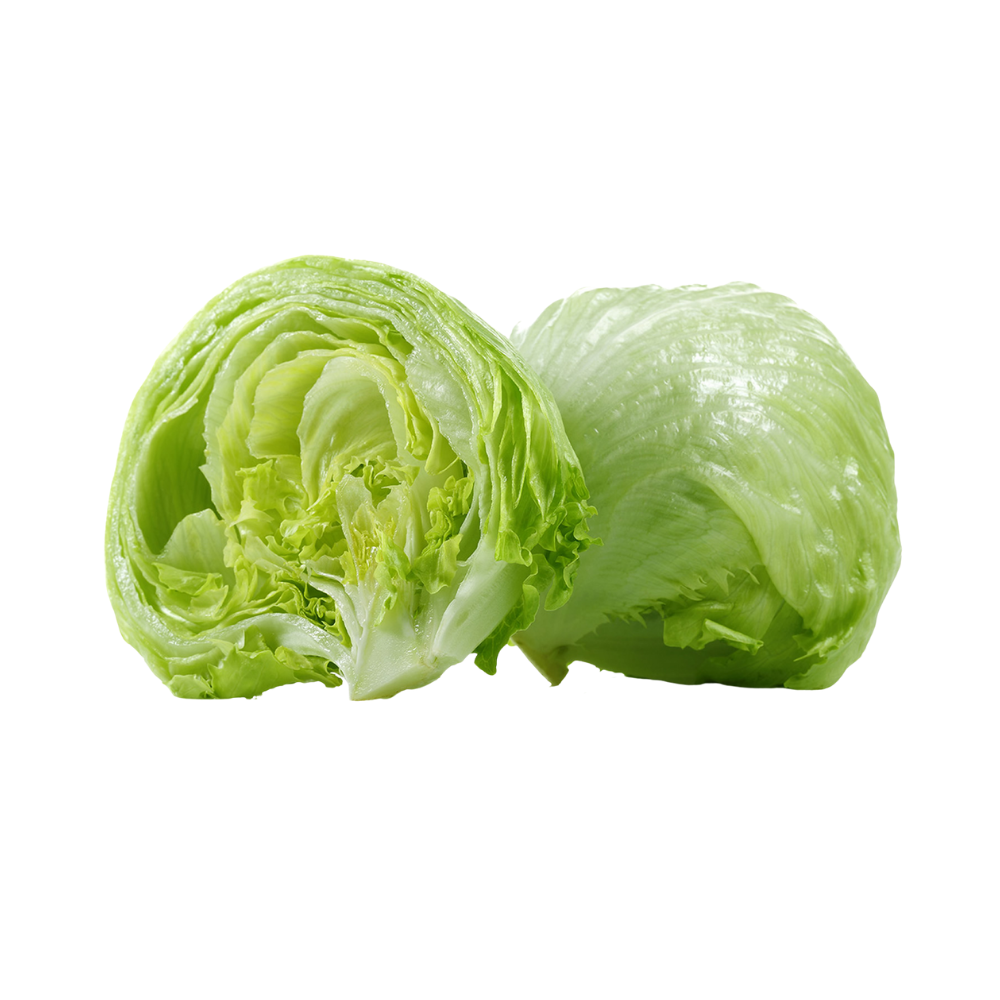 Iceberg Lettuce