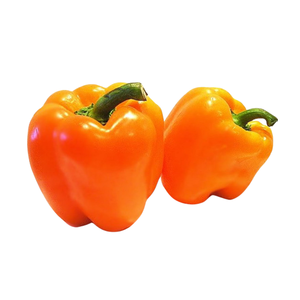 Pepper Holland Orange 2 Pcs Packaged