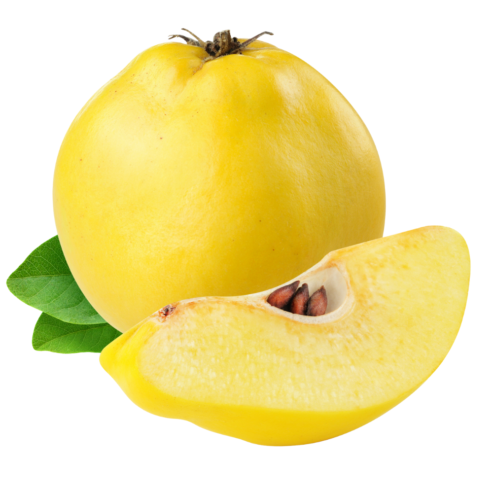 Quince